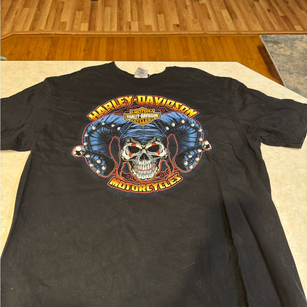 Harley-Davidson Black and Blue Skull Graphic Tee